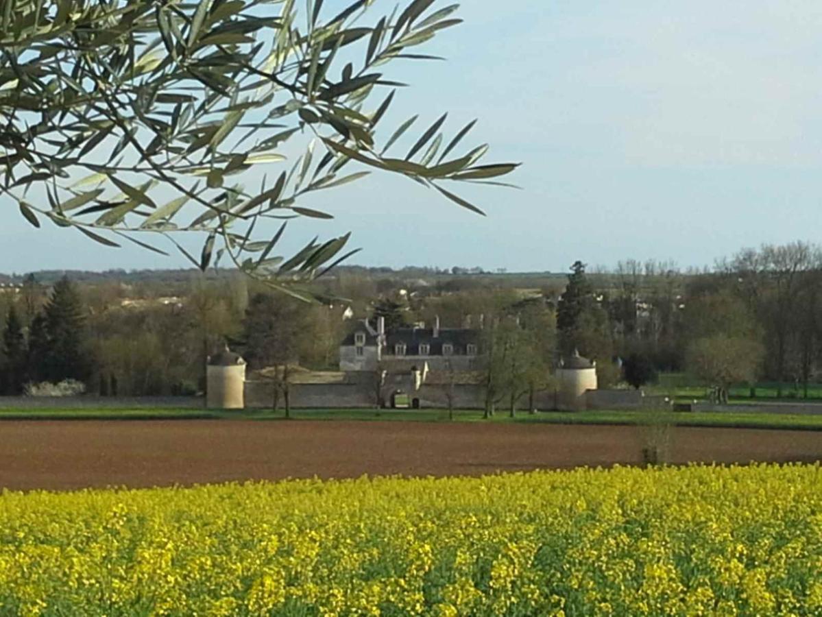 Au Grain D'Orge Villa Echire Eksteriør bilde
